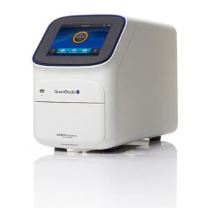 Mycoplasma Detection Rapid Testing