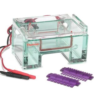 Owl™ EasyCast™ B2 Mini Gel Electrophoresis Systems