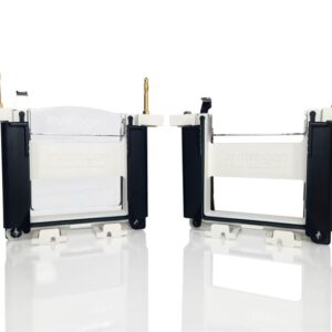 Protein Gel Electrophoresis