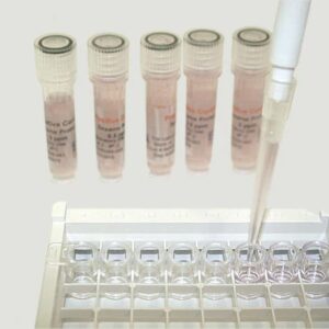 Food Allergens Testing Kits