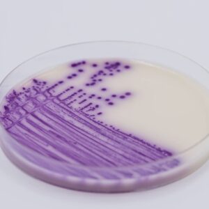 Brilliance™ Salmonella Agar Base