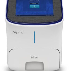 iBright Imaging System